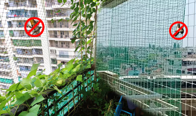 Bird Protection Nets in Bangalore